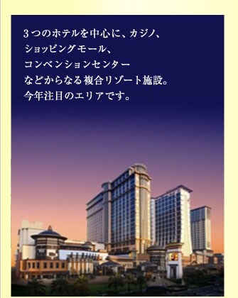 3�̃z�e���𒆐S�ɁA�J�W�m�A�V���b�s���O���[���A�R���x���V�����Z���^�[�Ȃǂ���Ȃ镡�����]�[�g�{�݁B���N���ڂ̃G���A�ł��B