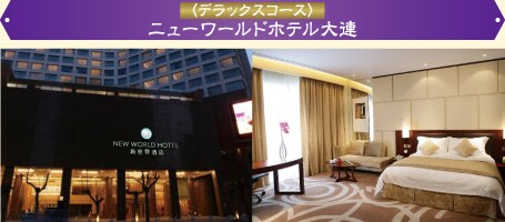 ���f���b�N�X�R�[�X���j���[���[���h�z�e����A