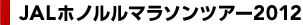 JAL�z�m�����}���\���c�A�[2011