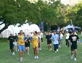 �T���Z�b�g�E����