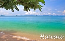 �n���C�i�C���[�W�j