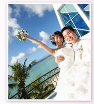 JAL�p�b�N�C�O�E�G�f�B���O�i�C���[�W�j