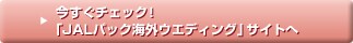 �������`�F�b�N�I�uJAL�p�b�N�C�O�E�G�f�B���O�v�T�C�g��