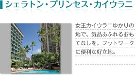 �V�F���g���E�v�����Z�X�E�J�C�E���j�@�����J�C�E���j�䂩��̒n�ŁA�C�i���ӂ�邨���ĂȂ����B�t�b�g���[�N�ɕ֗��ȍD���n�B