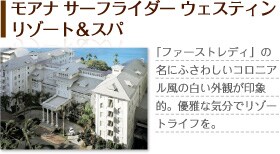 ���A�i �T�[�t���C�_�[ �E�F�X�e�B�����]�[�g���X�p�@�u�t�@�[�X�g���f�B�v�̖��ɂӂ��킵���R���j�A�����̔����O�ς���ۓI�B�D��ȋC���Ń��]�[�g���C�t���B