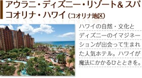 �A�E���j�E�f�B�Y�j�[�E���]�[�g&�X�p �R�I���i�E�n���C�i�R�I���i�n��j�@�n���C�̎��R�E�����ƃf�B�Y�j�[�̃C�}�W�l�[�V�������o����Đ��܂ꂽ�l�C�z�e���B�n���C�����@�ɂ�����ЂƂƂ����B