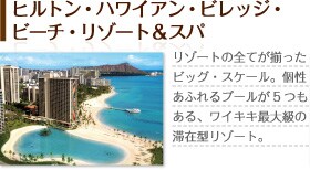 �q���g���E�n���C�A���E�r���b�W�E�r�[�`�E���]�[�g���X�p�@���]�[�g�̑S�Ă��������r�b�O�E�X�P�[���B�����ӂ��v�[����5������A���C�L�L�ő勉�̑؍݌^���]�[�g�B