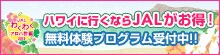 JALわくわくアロハ計画2012 無料体験プログラムでJALならハワイがもっと楽しくなる!