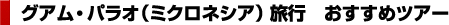 �O�A���E�p���I�i�~�N���l�V�A�j���s�@�������߃c�A�[