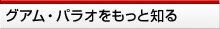 �O�A���E�p���I�������ƒm��