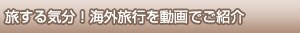 ������C���I�C�O���s�𓮉�ł��Љ�