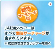 �R���T�[�`���[�W���IJAL�C�O�c�A�[�͂��ׂĔR���T�[�`���[�W���܂܂�Ă��܂��B���q�󌔂��܂܂Ȃ��c�A�[������