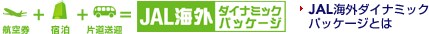 JAL�C�O�_�C�i�~�b�N�p�b�P�[�W�Ƃ�