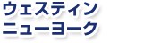 �E�F�X�e�B���@�j���[���[�N