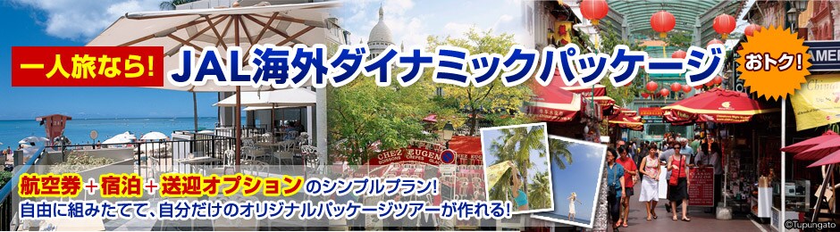 ��l���Ȃ�I JAL�C�O�_�C�i�~�b�N�p�b�P�[�W�@�i���g�N�I�j�@�q�󌔁{�z�e���{�Г����}�݂̂̃V���v���c�A�[�B���R�ɑg�݂��ĂāA���������̃I���W�i���p�b�P�[�W�c�A�[������I