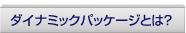 �_�C�i�~�b�N�p�b�P�[�W�Ƃ́H