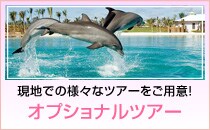 ���n�ł̗l�X�ȃc�A�[�����p�ӁI �I�v�V���i���c�A�[