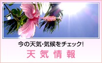 ���̓V�C�E�C����`�F�b�N �V�C���