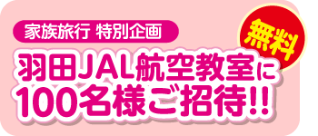 �H�cJAL�q�󋳎���100���l������!!