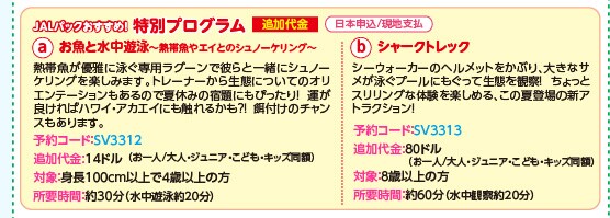 JAL�p�b�N�������߁I���ʃv���O����