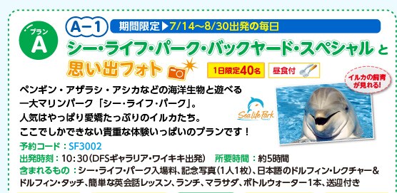 �v����A-1�F�V�[�E���C�t�E�p�[�N�E�o�b�N���[�h�E�X�y�V�����Ǝv���o�t�H�g