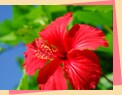 ���܂��遚�܂������ �O�A�� �C���[�W