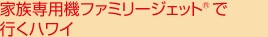 �Ƒ���p�@�t�@�~���[�W�F�b�g(R)�ōs���n���C