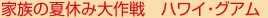 �Ƒ��̉ċx�ݑ���@�n���C�E�O�A��