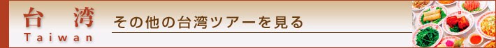 ��p�@Taiwan�@���̑��̑�p�c�A�[������