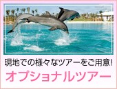 ���n�ł̗l�X�ȃc�A�[�����p�ӁI
�I�v�V���i���c�A�[