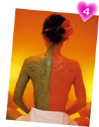 �A�C�����h�Z���i