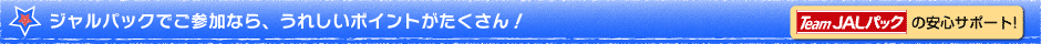 �W�����p�b�N�ł��Q���Ȃ�A���ꂵ���|�C���g����������I�@Team JAL�p�b�N�̈��S�T�|�[�g�I