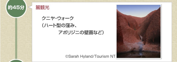 ��45���@�[�ό� �N�j���E�E�H�[�N�i�n�[�g�^�̌E�݁A�A�{���W�j�ǉ�Ȃǁj