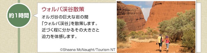 ��20���@�J�^�E�W���^�W�]��