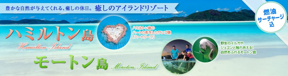 �L���Ȏ��R���^���Ă����A�����̋x���B�����̃A�C�����h���]�[�g�@�n�~���g���� ���[�g�����@�R���T�[�`���[�W��