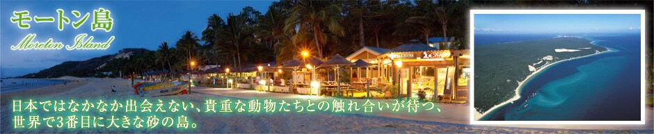 ���[�g�����@���{�ł͂Ȃ��Ȃ��o��Ȃ��A�M�d�ȓ��������Ƃ̐G�ꍇ�����҂A���E��3�Ԗڂɑ傫�ȍ��̓��B