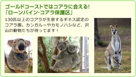 �S�[���h�R�[�X�g�ł̓R�A���ɉ��I�w���[���p�C���E�R�A���ی��x130�C�ȏ�̃R�A������������M�l�X�F��̃R�A�����B�J���K���[��J���m�n�V�ȂǁA��R�̓����������҂��Ă܂��I