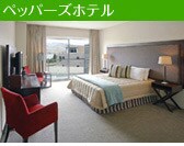[13]�y�b�p�[�Y�z�e��