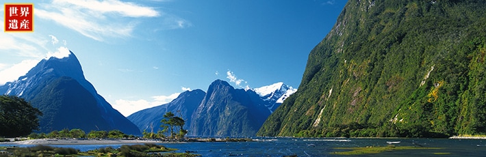 �}�E���g�N�b�N��������