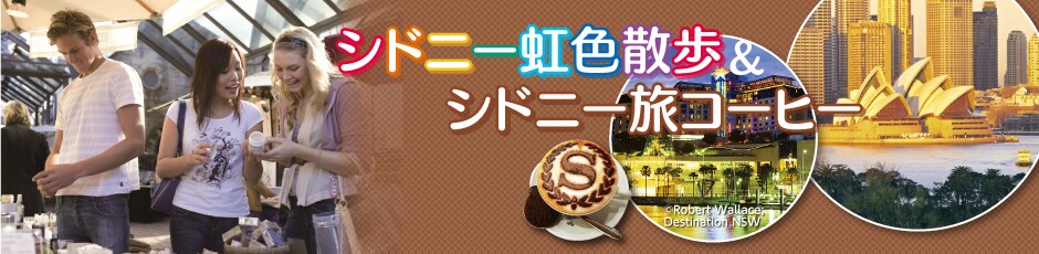 �V�h�j�[���F�U�����V�h�j�[���R�[�q�[�@�W�����p�b�N���V�h�j�[�̊y���ݕ��̓R���I�@2013�N1���`9��