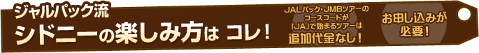 �W�����p�b�N���@�V�h�j�[�̊y���ݕ��̓R���I�@JAL�p�b�N�EJMB�c�A�[�̃R�[�X�R�[�h���uJA�v�Ŏn�܂�c�A�[�͒ǉ�����Ȃ��I�@���\�����݂��K�v�I