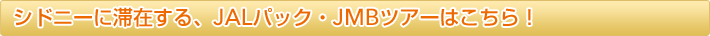 �V�h�j�[�ɑ؍݂���AJAL�p�b�N�EJMB�c�A�[�͂�����I