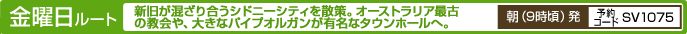 ���j�����[�g�@�V���������荇���V�h�j�[�V�e�B���U��B�I�[�X�g�����A�ŌÂ̋����A�傫�ȃp�C�v�I���K�����L���ȃ^�E���z�[���ցB�@���i9�����j���@�\��R�[�hSV1075