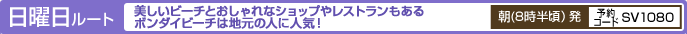 ���j�����[�g�@�������r�[�`�Ƃ������ȃV���b�v�⃌�X�g����������{���_�C�r�[�`�͒n���̐l�ɐl�C�I�@���i8�������j���@�\��R�[�hSV1080