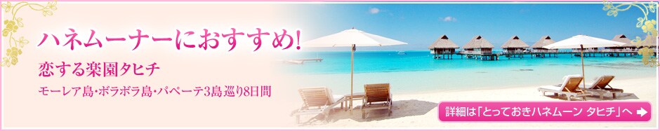 �n�l���[�i�[�ɂ������߁I ������y���^�q�` ���[���A���E�{���{�����E�p�y�[�e3������8���� �ڍׂ́u�Ƃ��Ă����n�l���[�� �^�q�`�v��