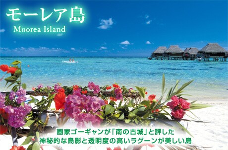 ���[���A�� Moorea Island ��ƃS�[�M�������u��̌Ï�v�ƕ]�����_��I�ȓ��e�Ɠ����x�̍������O�[������������