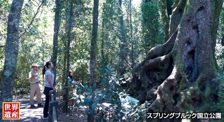 ���E��Y�@�X�v�����O�u���b�N��������