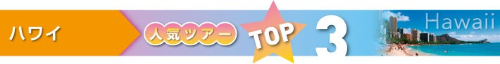 �n���C�@�l�C�c�A�[TOP3