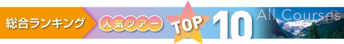 ���������L���O�@�l�C�c�A�[TOP10