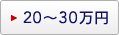 20�`30���~